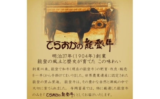牛肉 能登牛 肩ロース (4〜5等級) しゃぶしゃぶ用 300g [寺岡畜産 石川県 宝達志水町 38601305] 肉 お肉 しゃぶしゃぶ しゃぶしゃぶ肉 ロース 肩ロース 牛 国産 冷凍 和牛