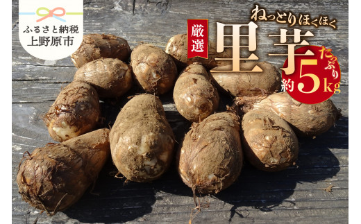 ◆◆2025年度収穫分先行予約◆◆「農家 農天氣がおくる」山梨県上野原市産 里芋 約5kg