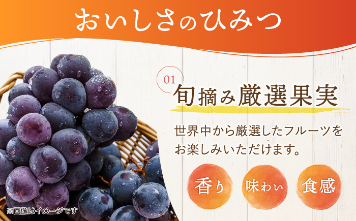 たらみ PURE ぶどう 6個 / ゼリー フルーツゼリー 果実ゼリー 果物 フルーツ くだもの / 諫早市 / 株式会社たらみ [AHBR005]