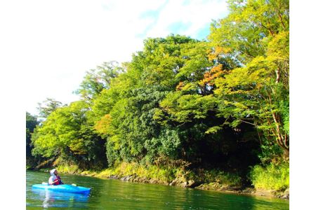 那珂川１日カヌー体験 カヤック 体験チケット レジャー 那珂川 茨城県 【体験】 【ストームフィールドガイド】【ho0917】