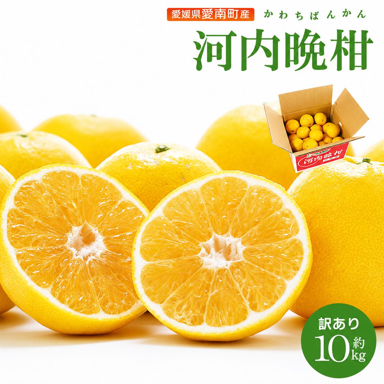 【ふるさと納税】 先行予約 訳あり 河内晩柑10kg 11000円 みかん 蜜柑 柑橘 かんきつ mikan かわちばんかん 家庭用 期間限定 数量限定 不揃い サイズミックス フルーツ 果物 くだもの 和製 グレープフルーツ ジュース 果肉 果汁 産地直送 農園直送 愛媛県 愛南町 尾上農園