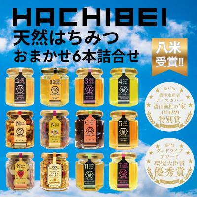 ふるさと納税 阿賀野市 HACHIBEI 新潟県産天然はちみつ おまかせ6本詰め合わせセット