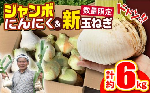 
【先行予約】【季節限定】ジャンボにんにく約1kg・新玉葱約5kgセット 平戸市 / しげさん農園 [KAA375]
