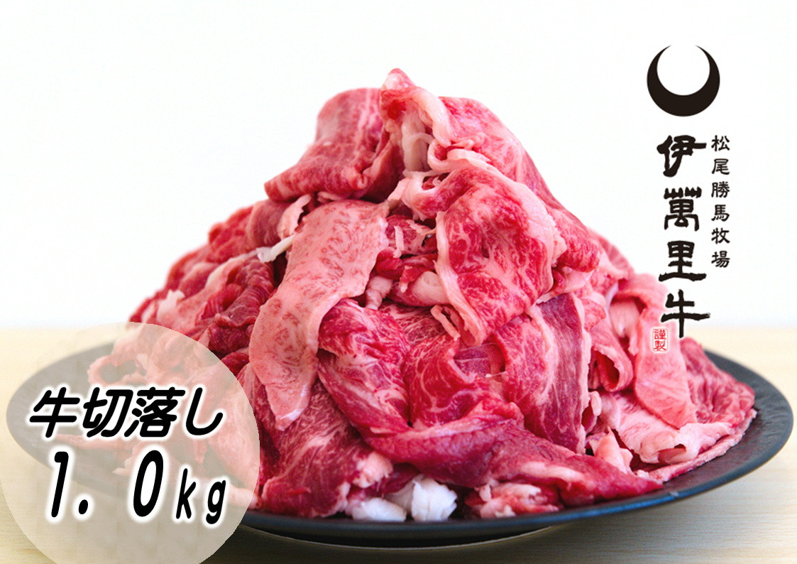 
伊万里牛切り落とし 1kg （500g×2） 小分け J715
