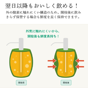 かんたん生樽！クラフトビール　HAKUBA CRAFT　Awayuki（Weizen）３L