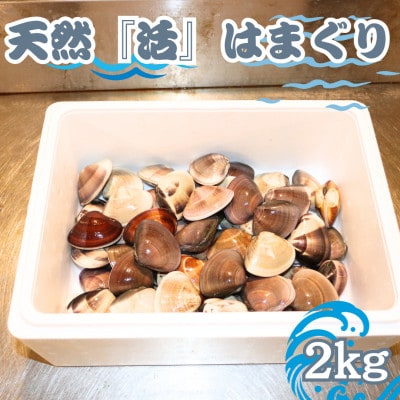 【数量限定】天然『活』はまぐり　2kg　※1個:40g〜80g【千葉県勝浦市】【配送不可地域：離島・北海道・沖縄県・東北・中国・四国・九州】【1557990】