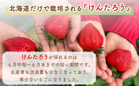 【2026.4月下旬以降順次出荷】北海道 豊浦 いちご 小玉 けんたろう 250g×4パック1箱 約1kg TYUW001