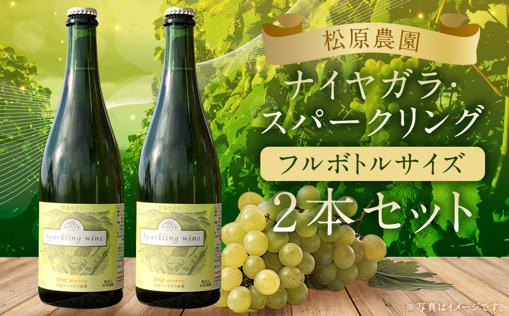 
            「ナイヤガラ・スパークリング」フルボトル（750ml×2本）計1500ml セット ぶどう ワイン スパークリングワイン 酒 葡萄 テーブルワイン 北海道産
          