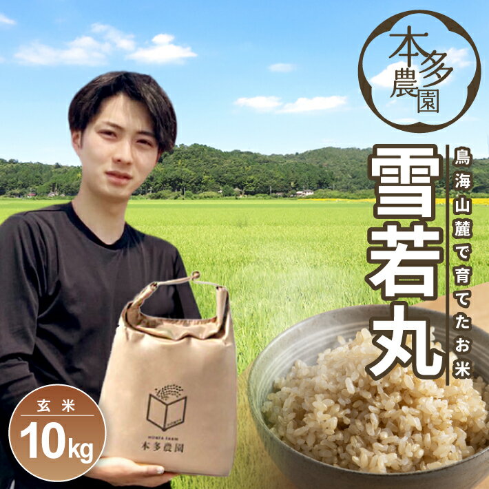 【ふるさと納税】雪若丸 玄米 計10kg 5kg×2袋 令和7年産米 山形県酒田産 ご希望の時期頃お届け 東北 山形県 酒田市 庄内地方 庄内平野 米 お米 ブランド米 ご飯 ごはん 農家直送 産地直送 本多農園