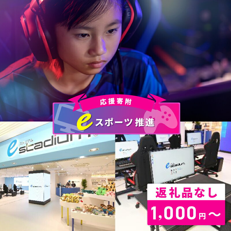 【ふるさと納税】【返礼品なし】 eスポーツの発展と共生社会の実現をめざす！ eスポーツ推進 応援寄附 寄附額 1000円 10000円 30000円 50000円 100000円 eスポーツ eスタジアム泉佐野 環境整備 寄附のみ 支援 大阪府 泉佐野市