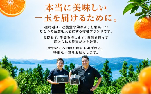 ＜香り立つ果実 愛媛県産伊予柑 合計約7.5kg＞『2027年1月上旬～2月下旬迄に順次出荷予定』 訳あり あまい 爽やかな香り ミカン 蜜柑 ご家庭用 果汁 果物 くだもの フルーツ オレンジ 柑橘