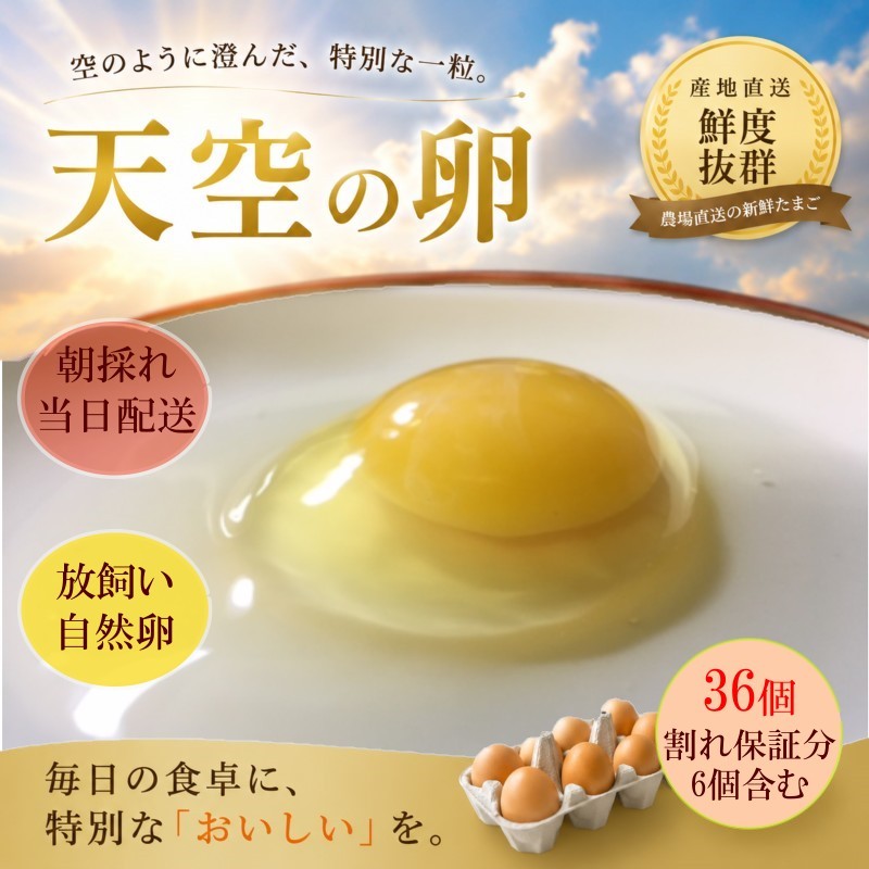
            【ふるさと納税】381＊信州MIYAFARM　「天空の卵」新鮮野菜を食べて育った放し飼い自然卵　30個（割れ保証分6個付き　合計36個）
          