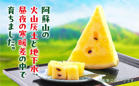 【2026年 先行予約】【数量限定】すいか 金色羅皇 1玉入り 約8kg以上 黄色い スイカ 甘い【日本フルーツ株式会社】[AYDA008]