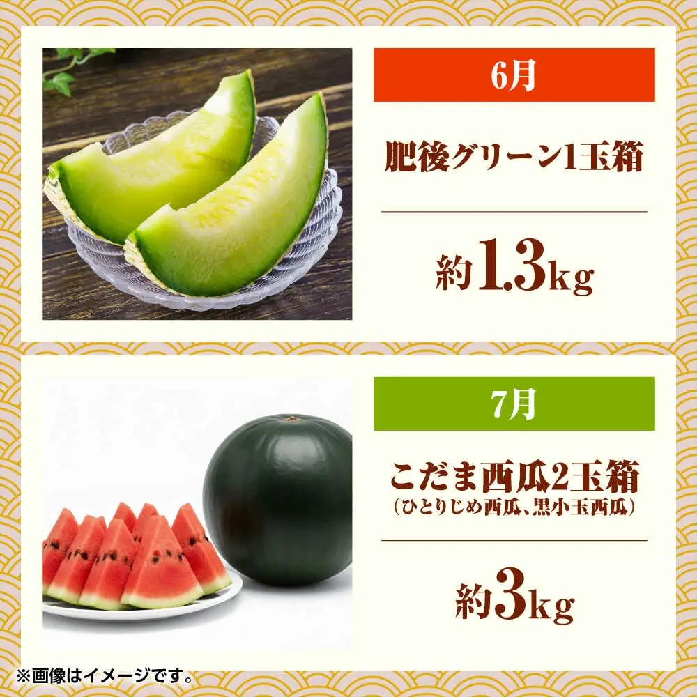 【先行予約】フルーツ6ヶ月定期便【2月~7月】果物定期便すいかメロン [ZBG077]