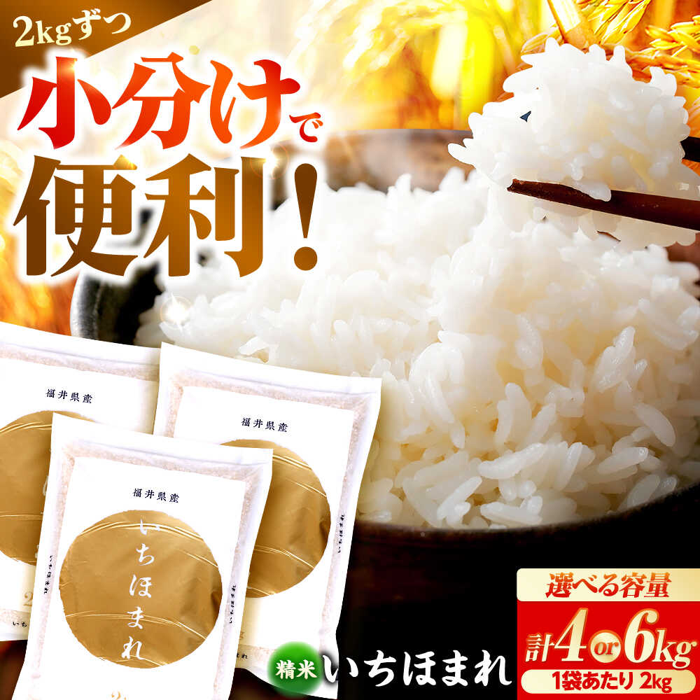 【ふるさと納税】【2026年1月中旬より順次発送】選べる容量 福井県産 いちほまれ 2kg×2袋or3袋 ブランド米 / 白米 精米 甘みとつや 小浜市 / シマダ農園[BFAV013]