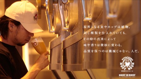 常陸野ネストビール 桜川市限定 ハニーヴァイツェン 8本 セット ビール クラフトビール ネストビール 木内酒造 はちみつ 限定 [CJ009sa]