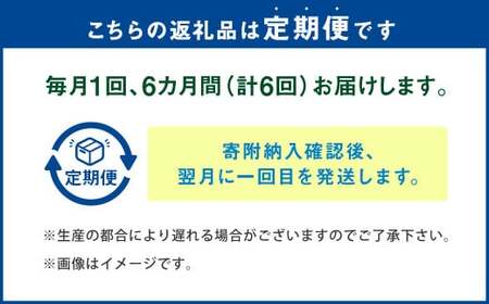 【6ヶ月定期便】 越田の干物 大さば 3枚入×1パック 合計18枚 干物 鯖 さば 魚 お魚 さかな さば サバ
