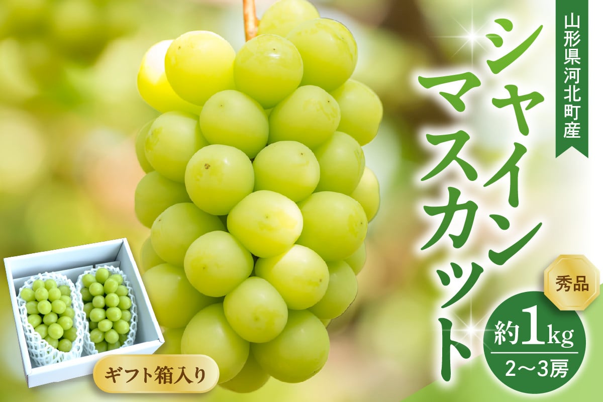 
            【令和7年産】 ぶどう シャインマスカット 2～3房 約1kg ギフト箱入り 秀品 山形県河北町産 【山形eLab】ka074-025
          