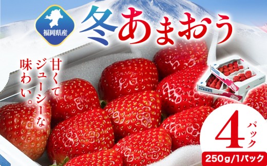 福岡県産 冬あまおう 4パック 南国フルーツ株式会社《2026年12月上旬-2027年1月末頃出荷》福岡県 鞍手町 あまおう いちご イチゴ 送料無料【配送不可地域あり】