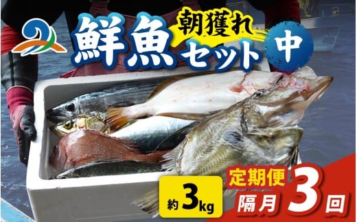 【定期便　隔月３回】【朝獲り】漁師厳選 鮮魚セット (中) 4種類以上 約3kg 魚 詰め合わせ  鮮魚ボックス  直送  鮮魚 新鮮 煮物 焼き物 お造り 刺身 晩酌 食卓 BBQ 急速冷凍 真空パック 鮮魚セット 詰合せ 鮮魚店 厳選 お任せ 鮮度 産直 海鮮 加熱用 福井県 南越前町 越前 盛り合わせ おまかせ お楽しみ おつまみ おかず ご飯のお供 送料無料  さへい 河野 越前 北陸
