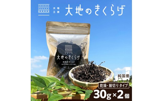 きくらげ 国産 乾燥きくらげ 細切りカット 30g × 2個 セット 大地のきくらげ  | キクラゲ 60g 木耳 乾物 乾燥食材 食物繊維 鉄分 ビタミンD 食材 肉厚 プリプリ コリコリ 低カロリー 栄養 旨み 料理 惣菜 おかず 中華 料理 ラーメン 具材 炒め物 スープ 食材 野菜 人気 おすすめ お取り寄せ ハウス栽培 大地工房 株式会社PEC 埼玉県 桶川市