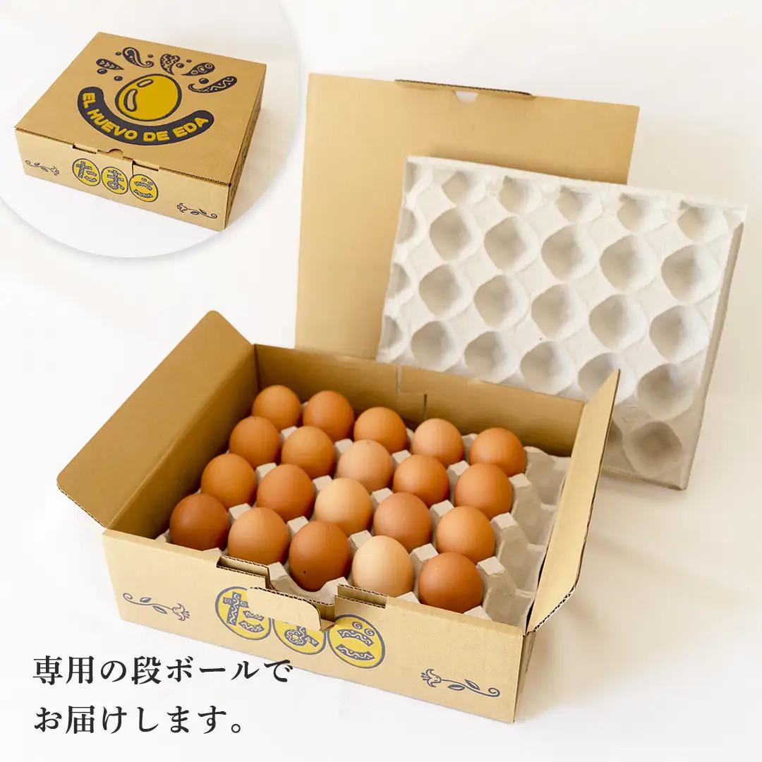 枝さんちのたまご(M～L20個) 産地直送  餌にこだわり 平飼いでのびのび育った卵 卵 非遺伝子組換え 7000 [BT001sa]