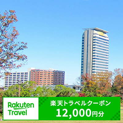 【ふるさと納税】東京都多摩市の対象施設で使える楽天トラベルクーポン 寄付額40,000円（クーポン額12,000円）