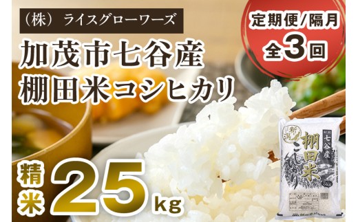 【令和8年産新米先行予約】【定期便3回隔月お届け】七谷産 棚田米 コシヒカリ 精米 25kg（5kg×5）《10月上旬～順次出荷》 白米 新潟県 加茂市産 白米 米 お米 定期便 （株）ライスグローワーズ