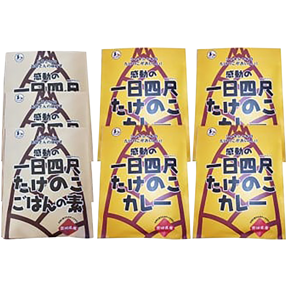 【丸森町特産】 たけのこカレー4個とたけのこご飯のもと 3個【66004BA0101】