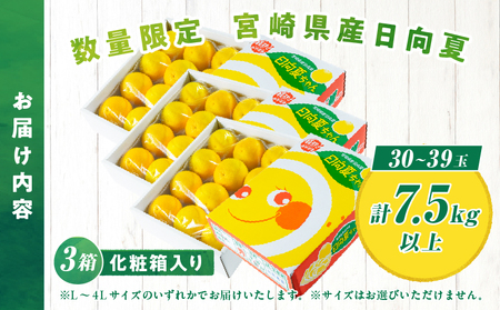 先行予約 日向夏 計7.5kg以上 化粧箱入り 期間限定 数量限定 果物 フルーツ くだもの 柑橘 みかん 令和8年発送 ジュース フルーツサンド おやつ デザート 国産 食品 おすすめ ギフト 贈り