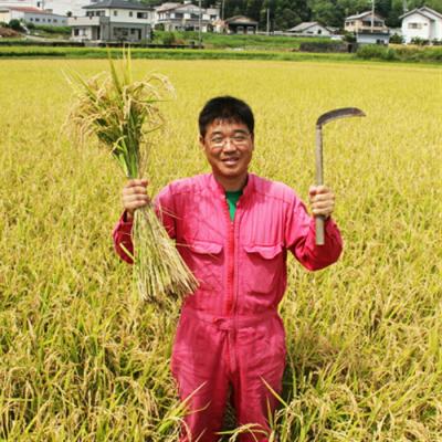 ふるさと納税 香南市 【7日程度で発送】おいしいコシヒカリ! 土佐の米よさこい舞10kg kr-0072 |  | 01
