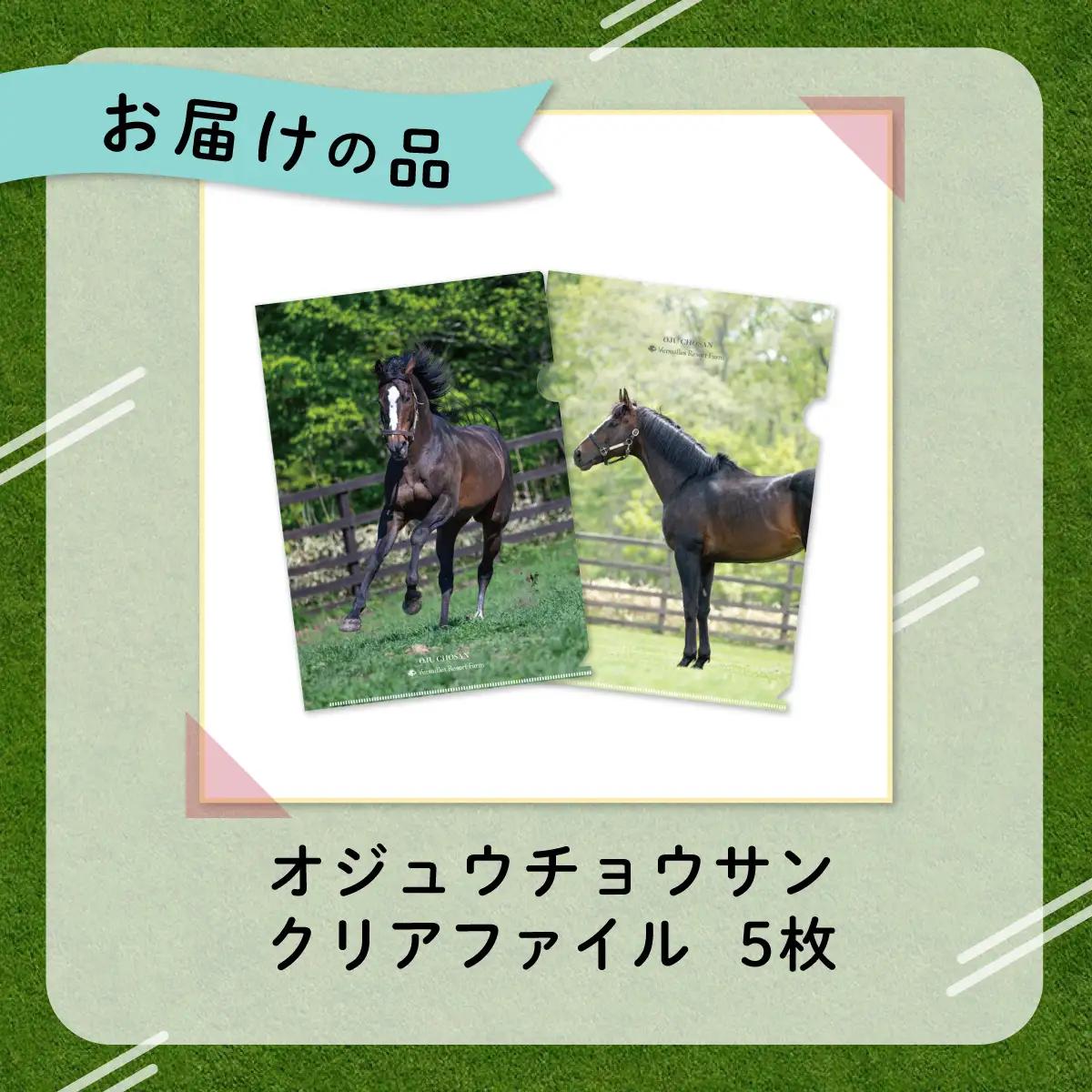 【オジュウチョウサン】クリアファイル（写真）5枚入り BRTV019