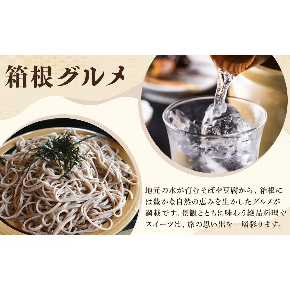2027年芦ノ湖遊漁年間チケット（電子遊漁券）
