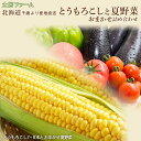 【ふるさと納税】2024年夏発送 とうもろこしと夏野菜 おまかせ 詰め合わせセット【土居ファーム】 野菜 とうもろこし かぼちゃ 玉ねぎ なす ミニトマト ピーマン セット【北海道千歳市】ギフト ふるさと納税