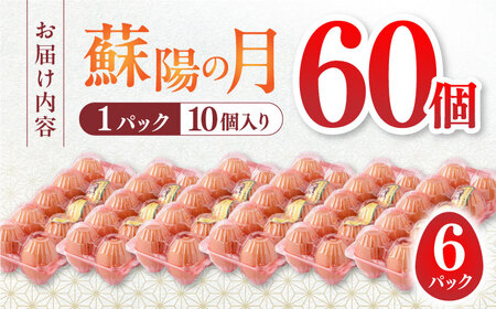 こだわりたまご 蘇陽の月 60個入り ( 10個入り × 6パック ) 山都町たまご 熊本県産たまご 九州産たまご 国産たまご 鮮度 高品質たまご たまご 小分けたまご たまご焼き たまご焼き パック