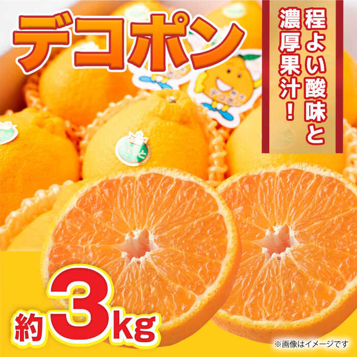 【ふるさと納税】【先行予約】デコポン 約3kg 6玉〜12玉【くまふる】[ZBG009]