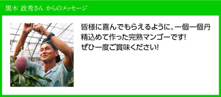 【令和8年発送】宮崎県産完熟マンゴー「おひさまハニーマンゴー」4L×2玉 果物 マンゴー