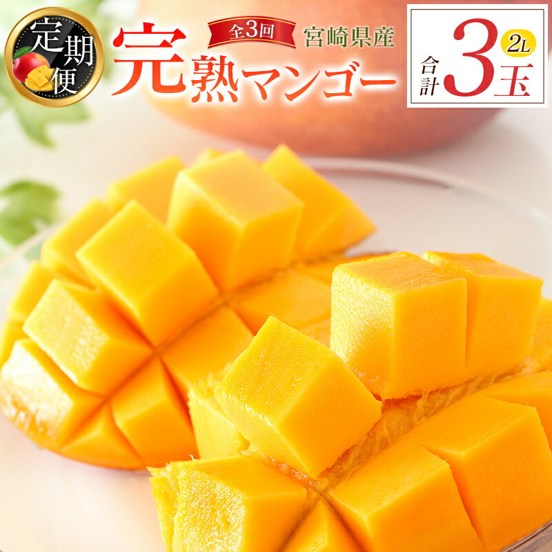 【ふるさと納税】宮崎特産「完熟マンゴー2L×1玉」お届け定期便（全3回）計3玉 特産 国産 果物 フルーツ 旬 産地直送