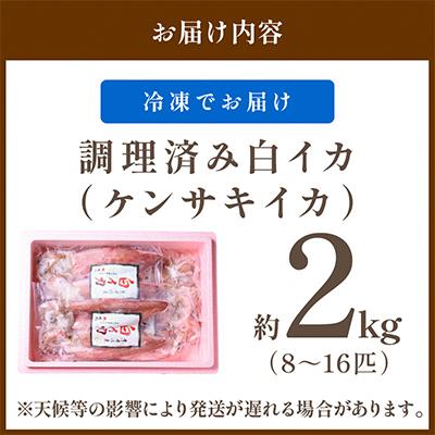 ふるさと納税 京丹後市 BBQにぴったり!白イカ(ケンサキイカ)　調理済み　正味2kg入り(8〜16匹)　※小分け真空包装 |  | 03
