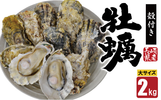 
【期間限定発送】【数量限定！】雲仙産 牡蠣 大サイズ 2kg 加熱用・殻付き [ふるさと企画 長崎県 雲仙市 item1534] カキ かき 殻付 2キロ 冷蔵 カンカン焼き 季節限定
