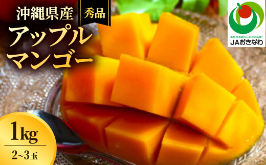 【2026年6月から順次発送・化粧箱】JAおきなわ厳選 秀品アップルマンゴー1kg(2～3玉)【配送不可地域：離島】