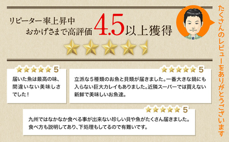 【2025年7月下旬発送】訳あり 北海道のおさかな屋さんの まかないセット 最大約4kg 魚 魚介 訳あり