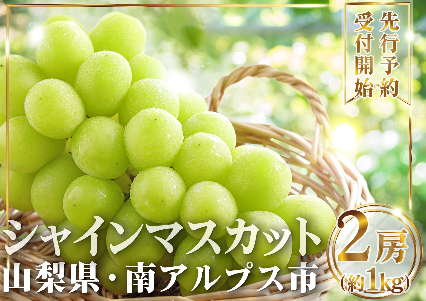 
                  【2026年発送先行予約】山梨県産 シャインマスカット2房(1㎏以上) ALPAI027
                