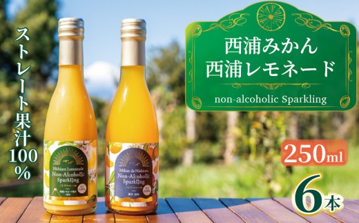 オレンジ ジュース スパークリング ストレート 果汁 100％ 温州 みかん 西浦 レモネード 250ml×6本 飲み比べ セット 希少 柑橘 蜜柑 飲み物 人気 贈答用 静岡 沼津