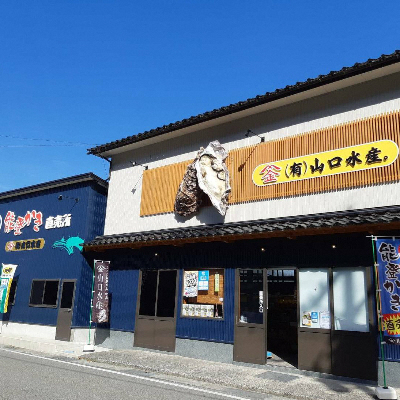 【発送時期が選べる】山口水産の能登かき / 三分缶(約30個入り)◇ ｜ 石川県 七尾市 能登 ※2025年1月中旬頃～4月下旬頃に順次発送予定 ※離島への配送不可