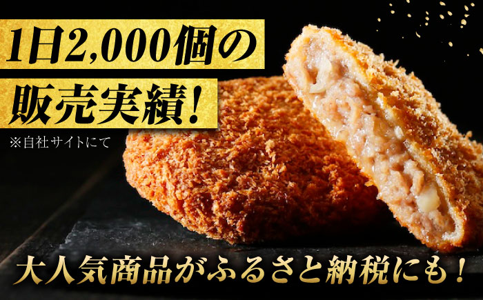 【スピード配送】冷凍 肉 ミンチカツ（5個）と塩で食べるハンバーグステーキ（2個） 広島県福山市/有限会社池口精肉店  メンチカツ 和牛 おかず セット [BAFK014]