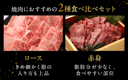 飛騨牛ロース・赤身焼肉セット（ロース200g・赤身300g）計 500g 牛肉 ブランド牛 お肉 肉 焼き肉 焼き肉用 おすすめ 飛騨萩原畜産 【冷凍配送】【22-44】