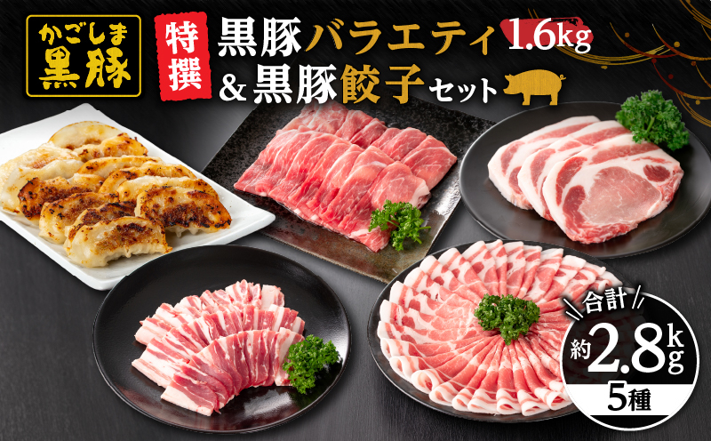 
            491-1 鹿児島黒豚バラエティセット1.6kg（肩ロース・バラ・モモ・とんかつ用）＋黒豚餃子　KN038-005
          