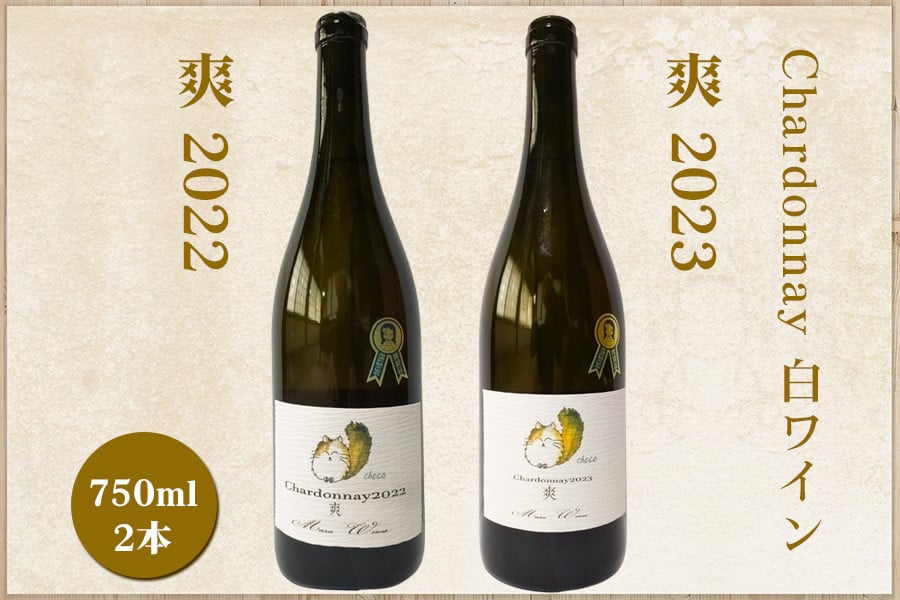 
            Chardonnay 爽 750ml 白ワイン《2022・2023》2本セット｜シャルドネ 飲み比べ 無添加 無濾過 国産 日本ワイン 愛知県 東浦町 [0740]
          