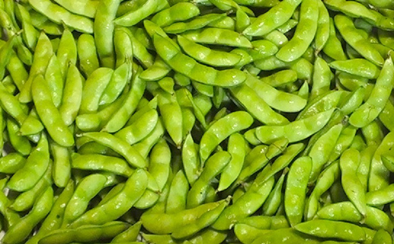 先行予約 朝どり 生枝豆 くろさきの枝豆 3kg 2025年10月発送 新潟県黒埼産 生 枝豆 えだまめ えだ豆 新潟